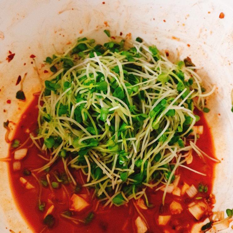 春天种萝卜苗——凉拌萝卜苗