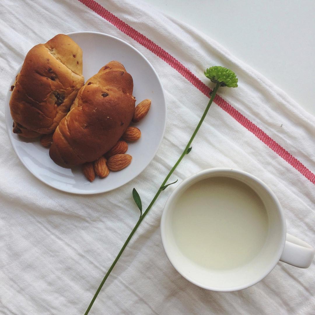 柔软无敌的酸奶蔓越莓面包卷