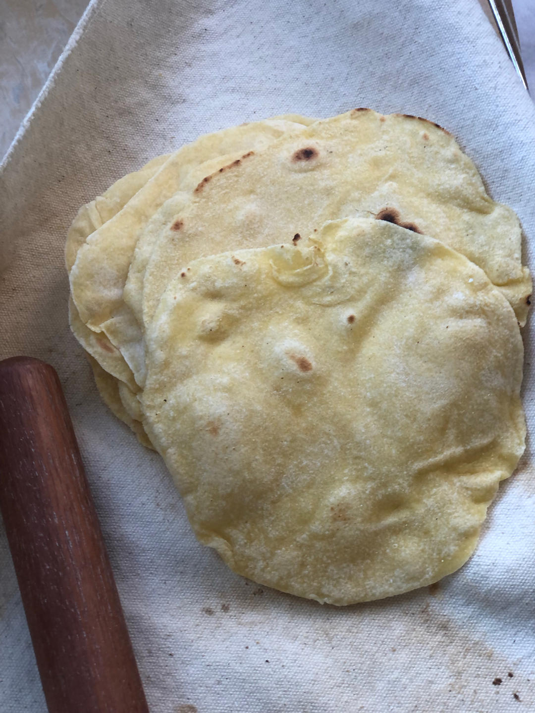 Taco Tuesday ｜牛油果酱虾仁塔可🌮️自制Taco饼皮