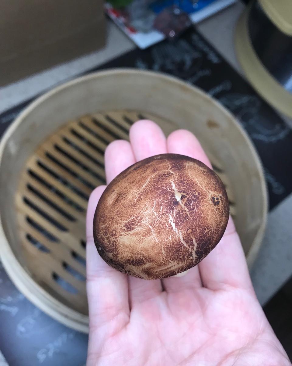 【香菇馒头】如何做以假乱真的香菇小馒头