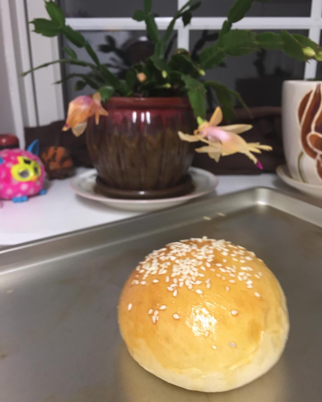 汉堡（基础汉堡胚做法）