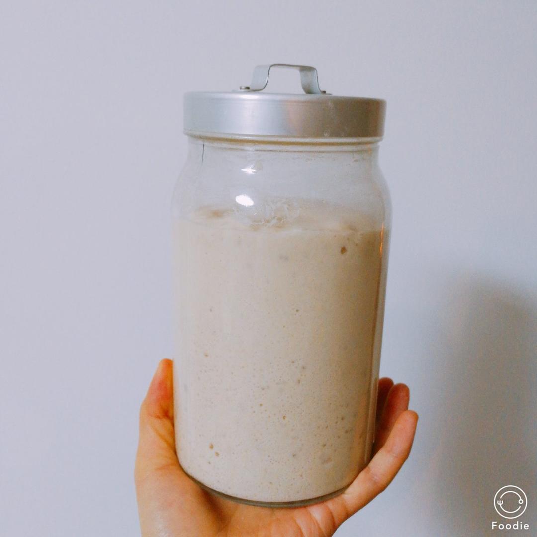 天然酵母宝宝养成记