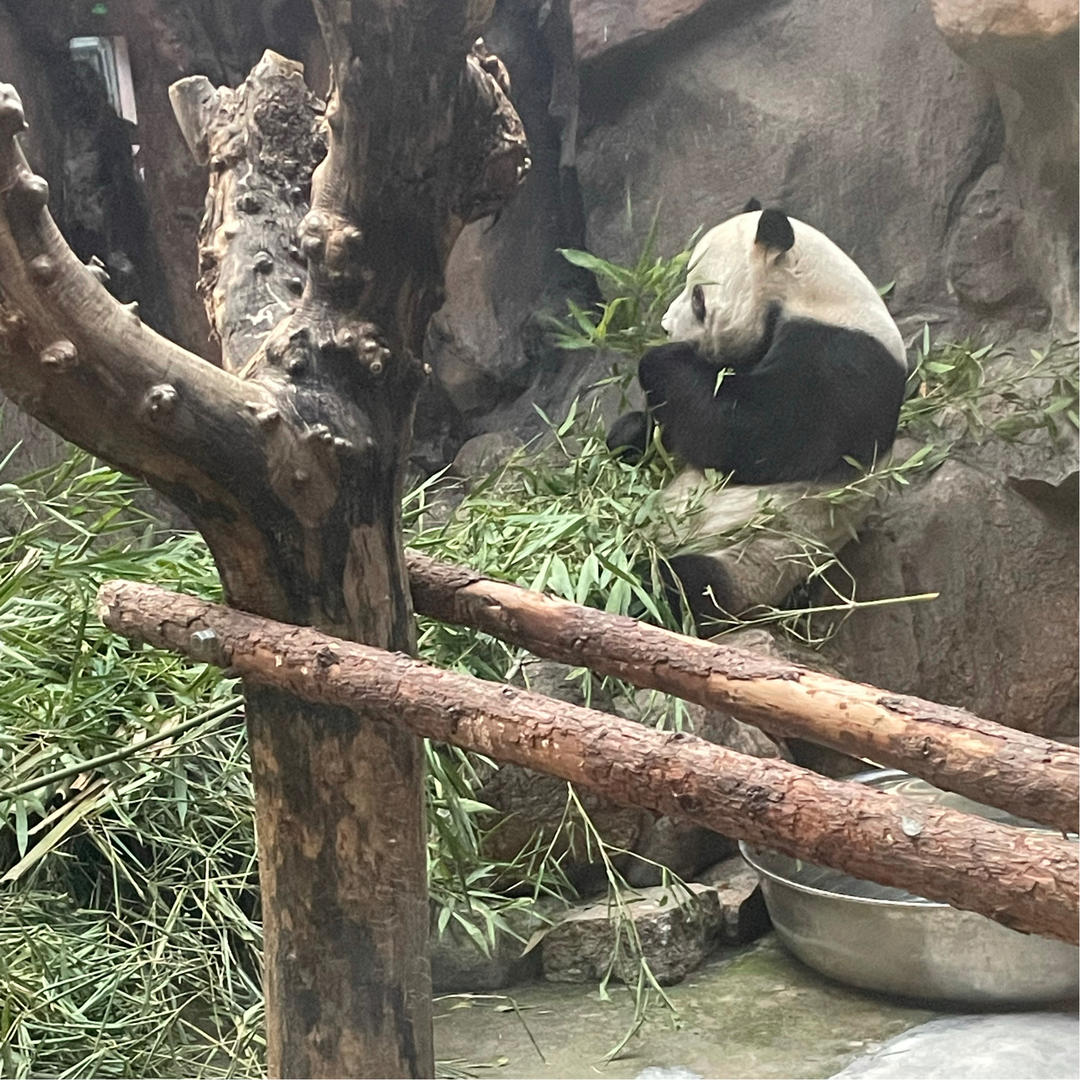 小邹的幸福生活