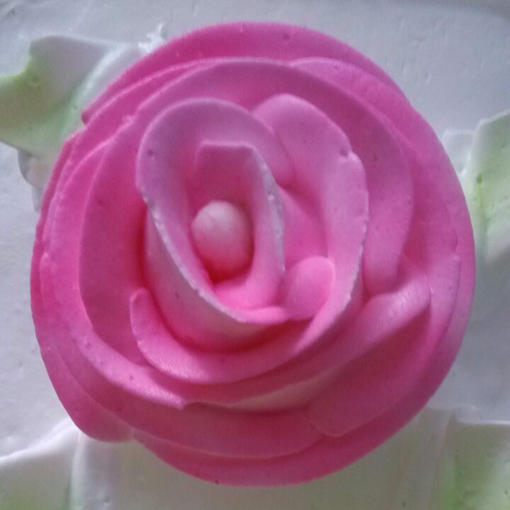 粉色玫瑰蛋糕的厨房