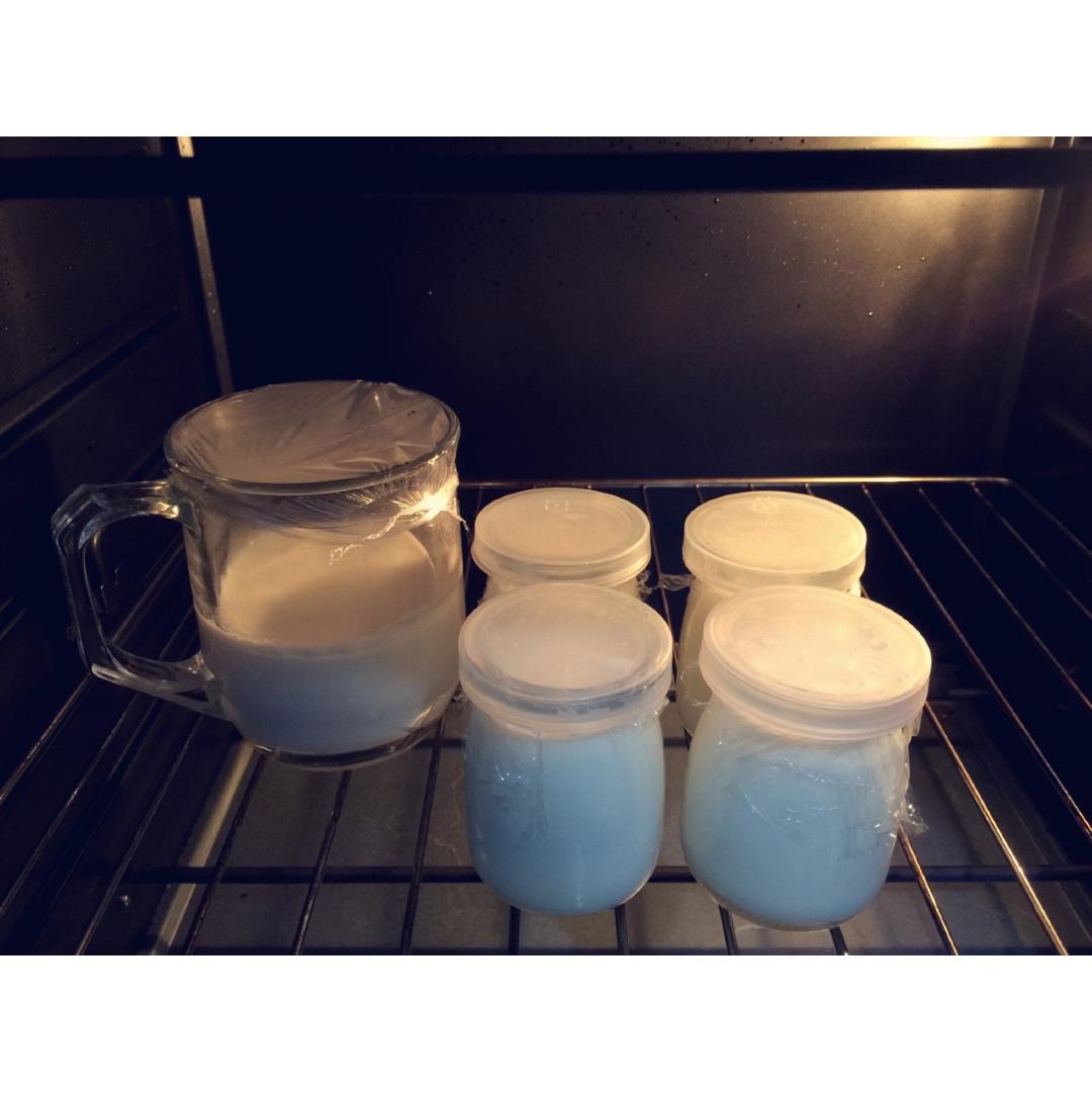 烤箱自制酸奶