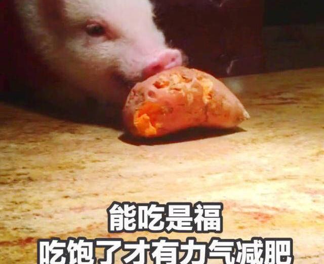 日常小记录的做法