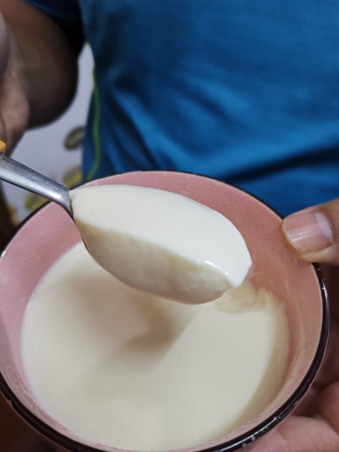 姜撞奶（零失败 估计这是最详细的姜撞奶教程了）