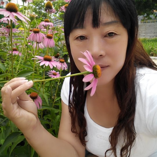 柳溪桃花岛主