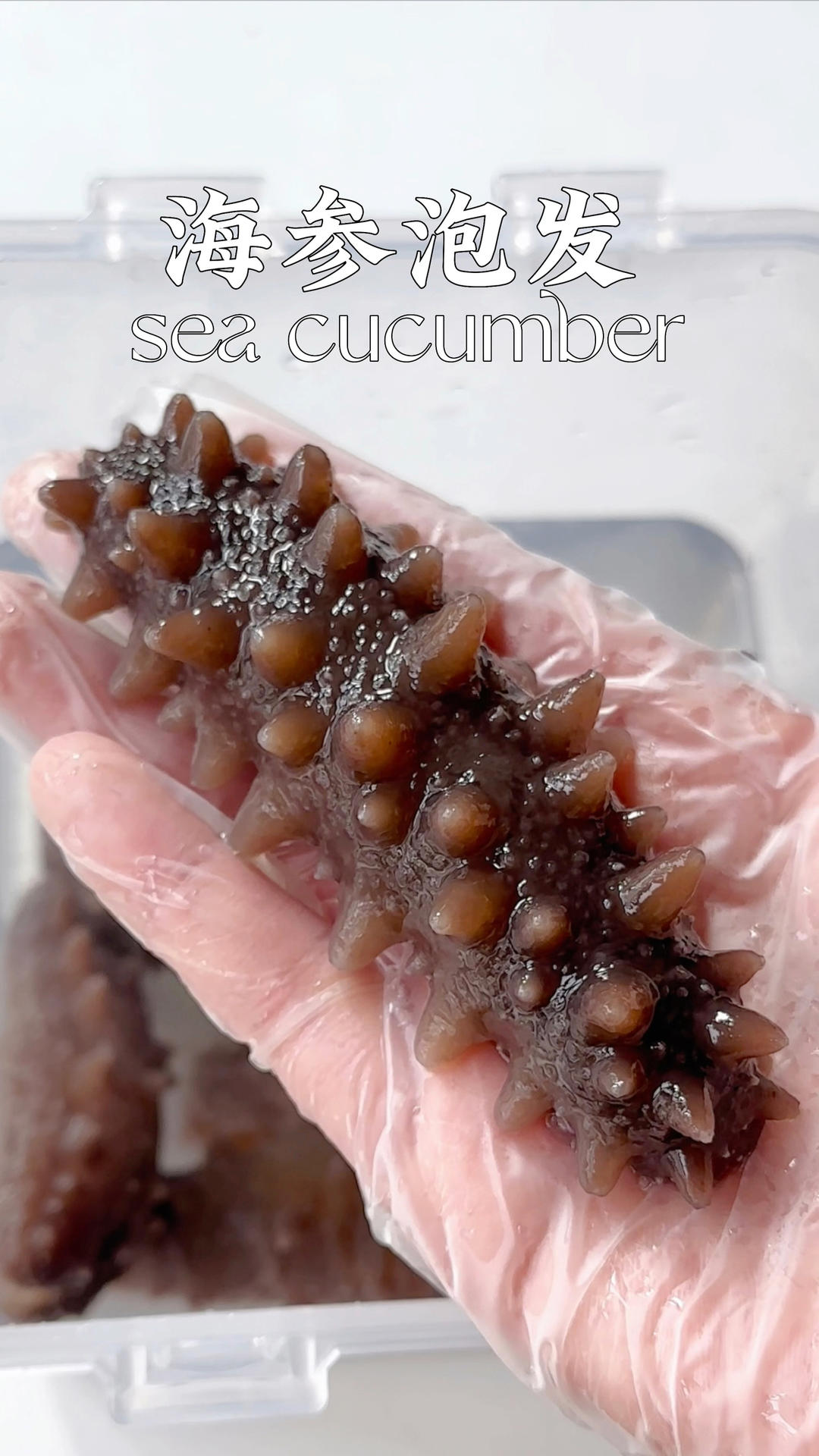 家庭版干海参泡发教程，新手零失败，超详细