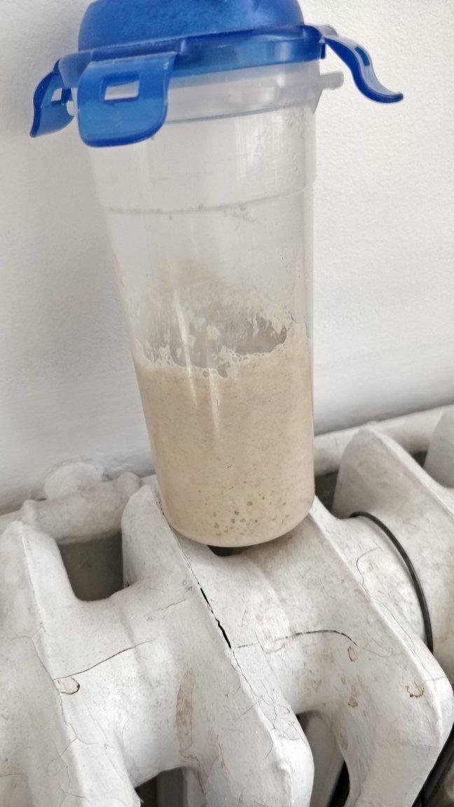 【Ken Forkish】天然酵种培养