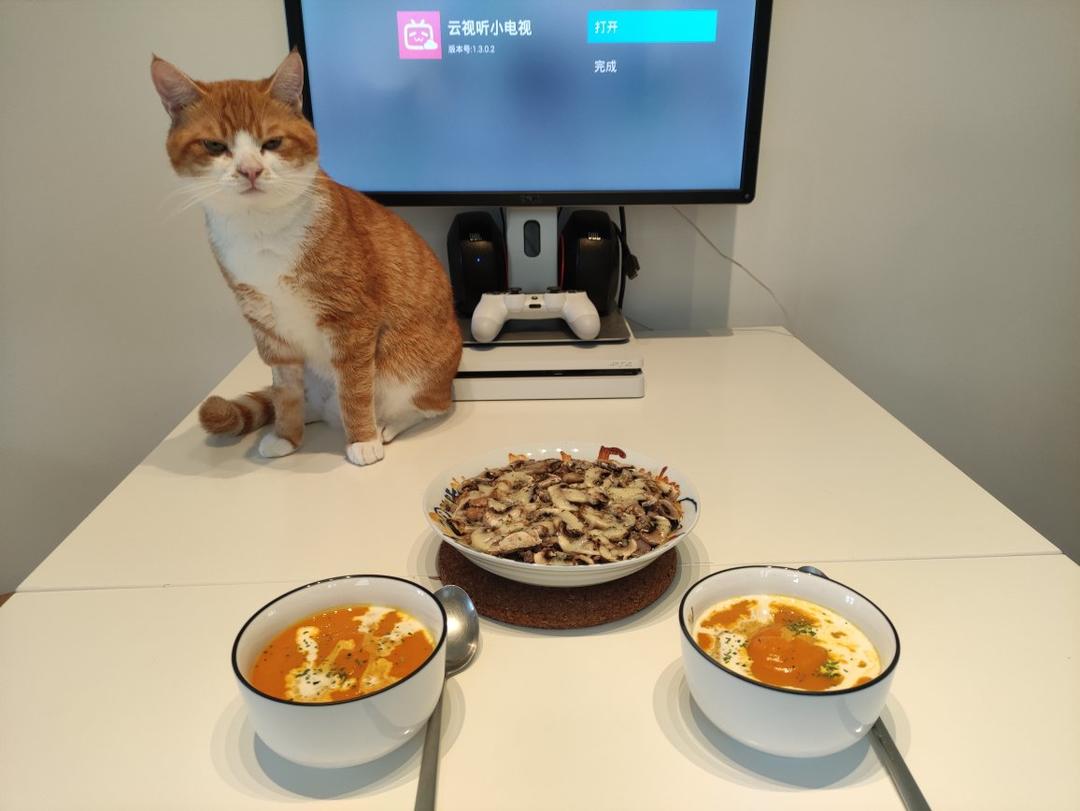 生酮牛肉馅焗蘑菇