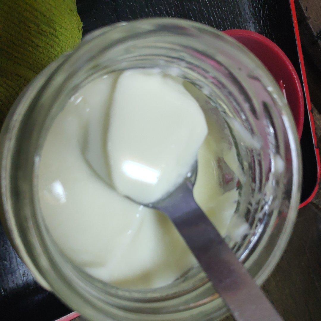 自制酸奶 德运奶粉酸奶