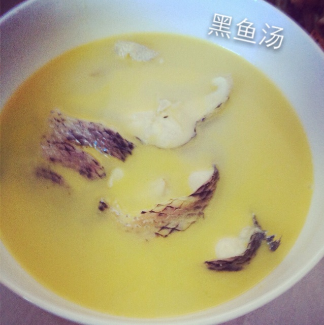 黑鱼汤