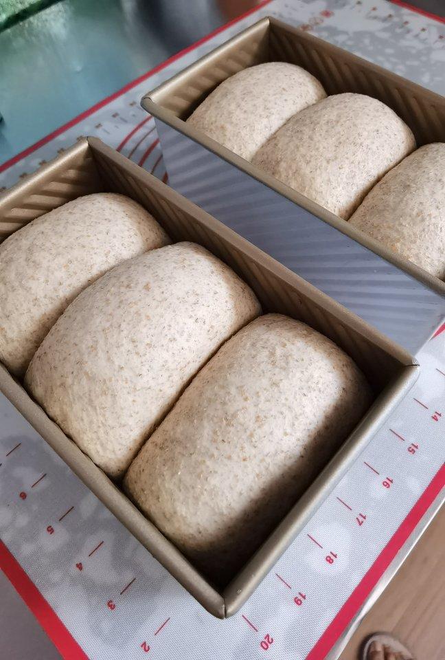 健身党主食面包之50%全麦吐司