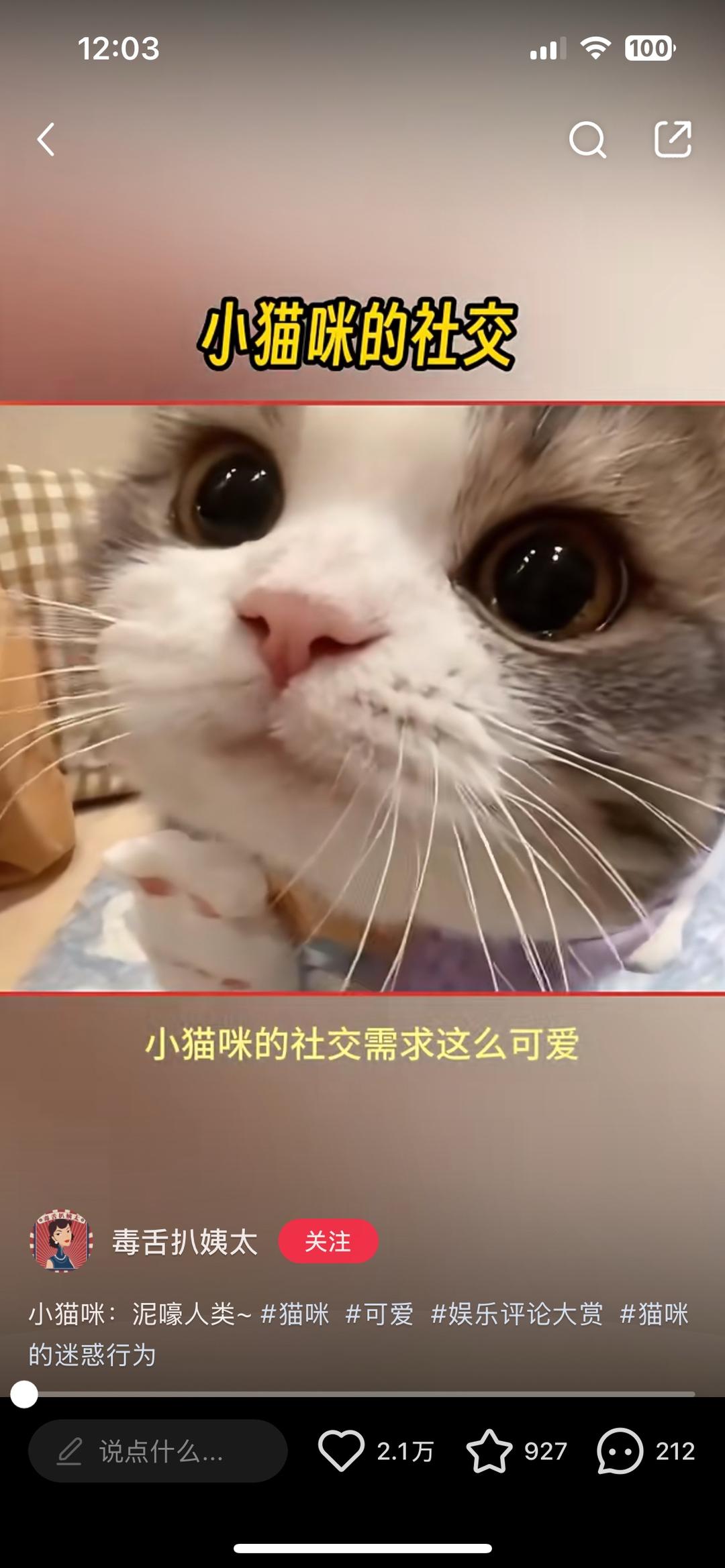 零食莲藕片