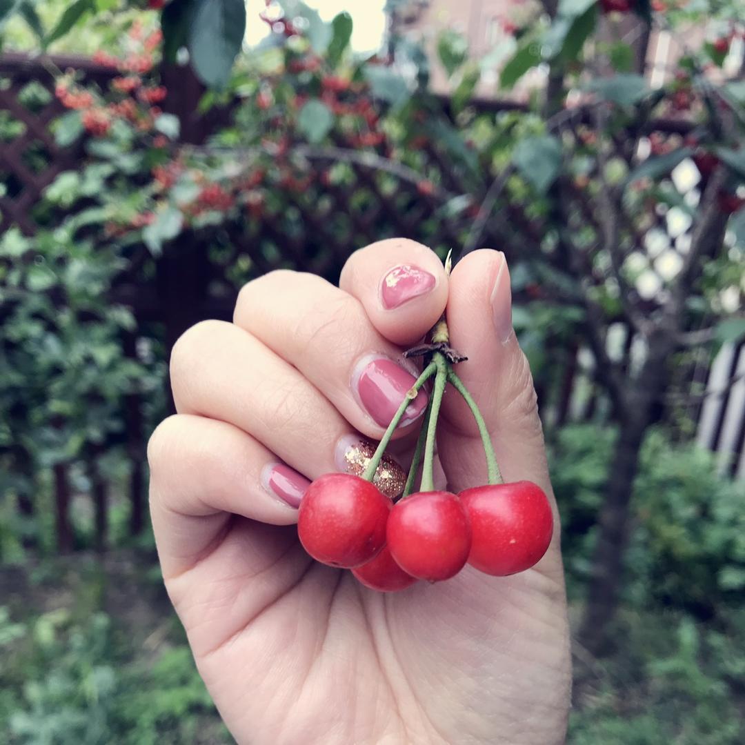 小苹菓