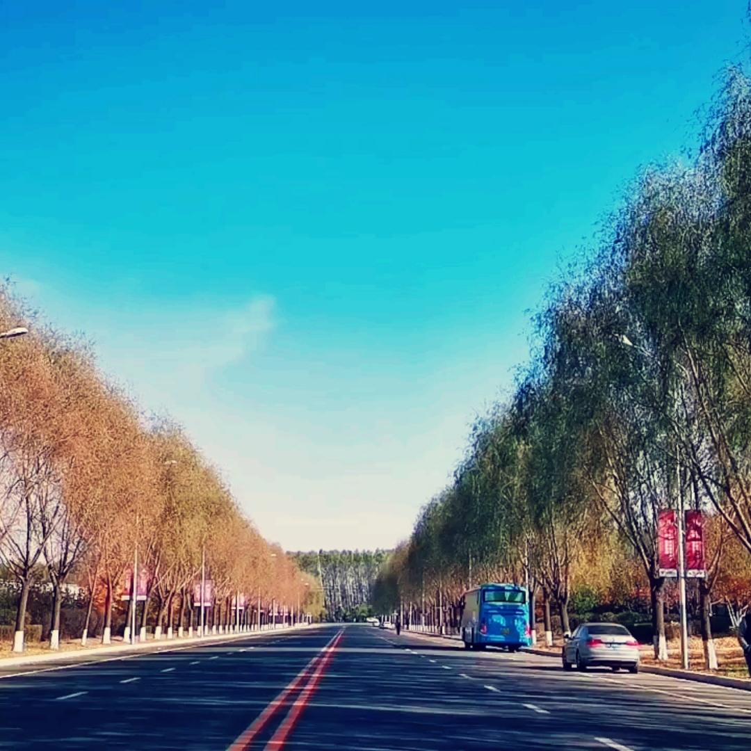 龙哥2015