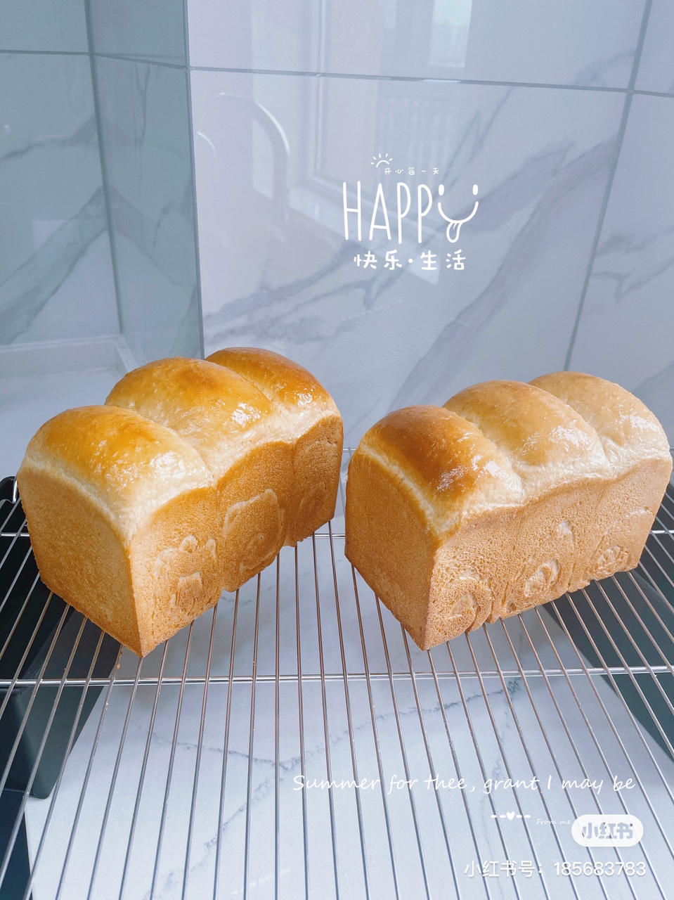 冷藏中种养乐多吐司