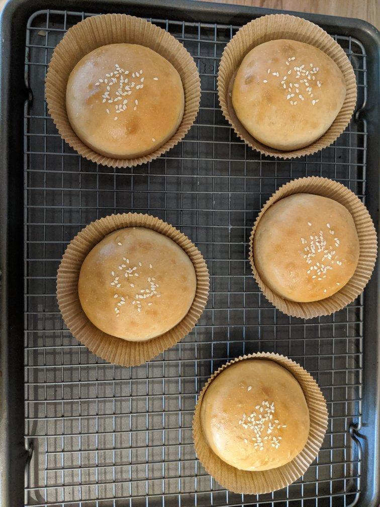 记录一个超级软的万用汉堡胚（波兰种）