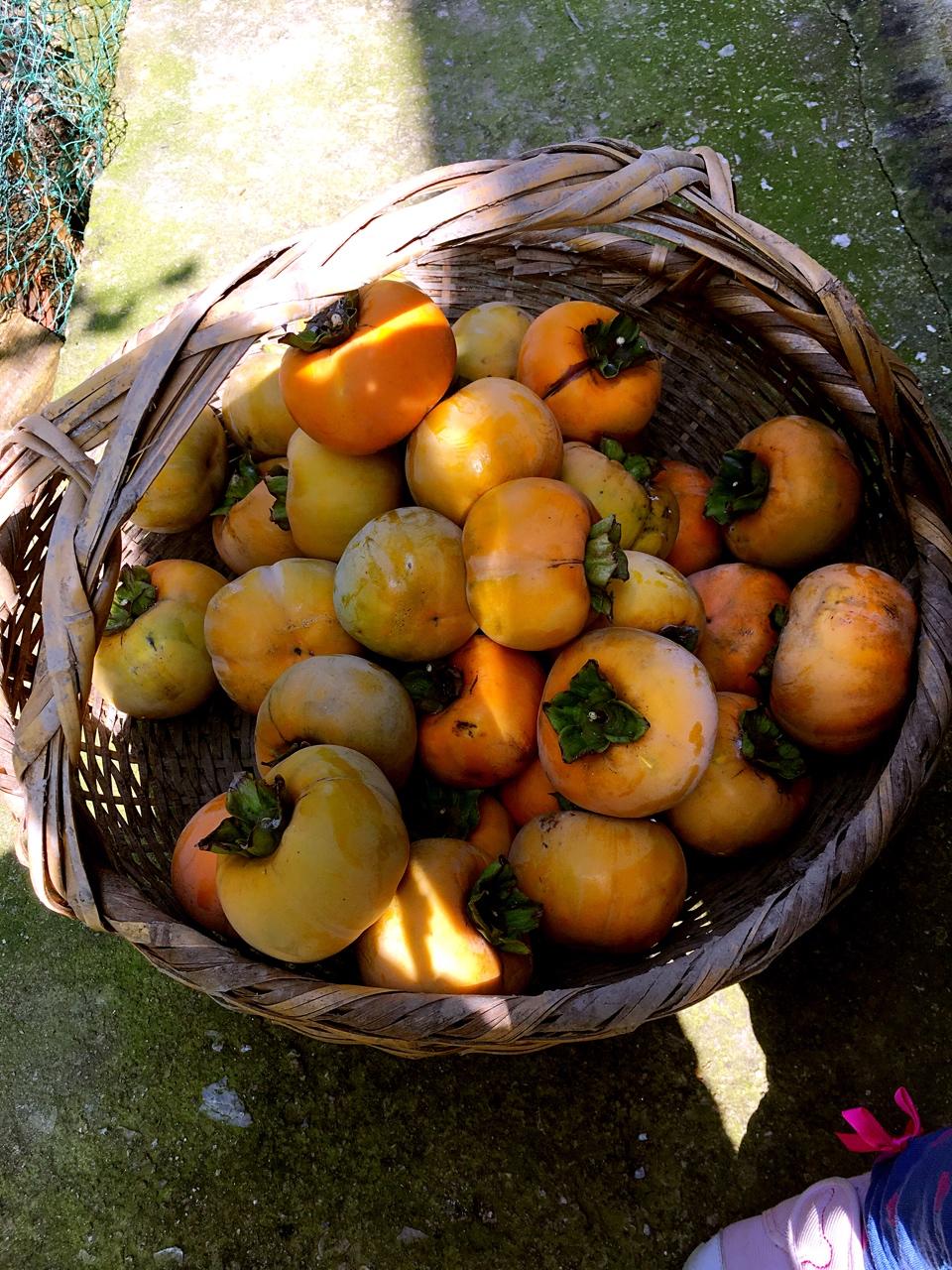 自己种的有机蔬菜