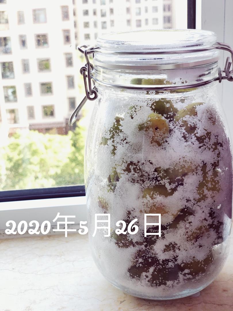 塩梅干し（盐渍青梅）