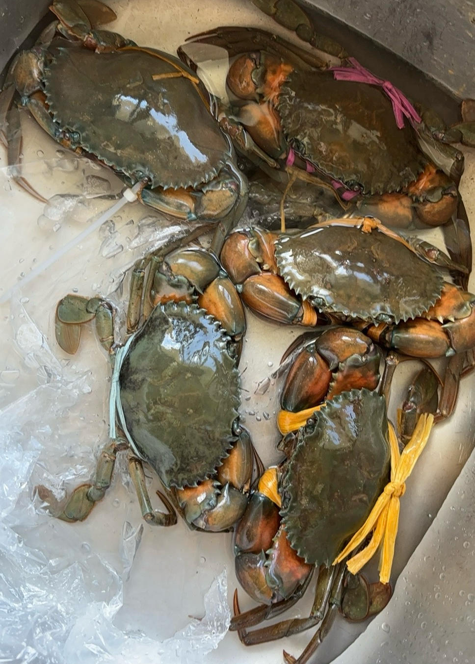 潮汕海鲜砂锅粥