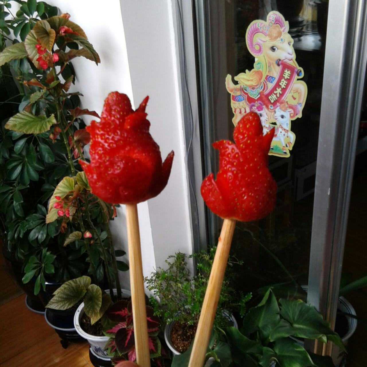 草莓玫瑰花