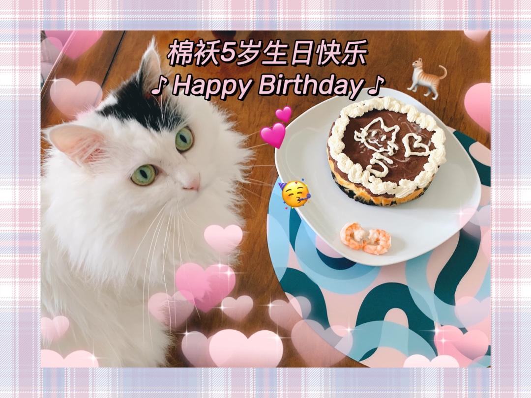 巧克力芝士蛋糕