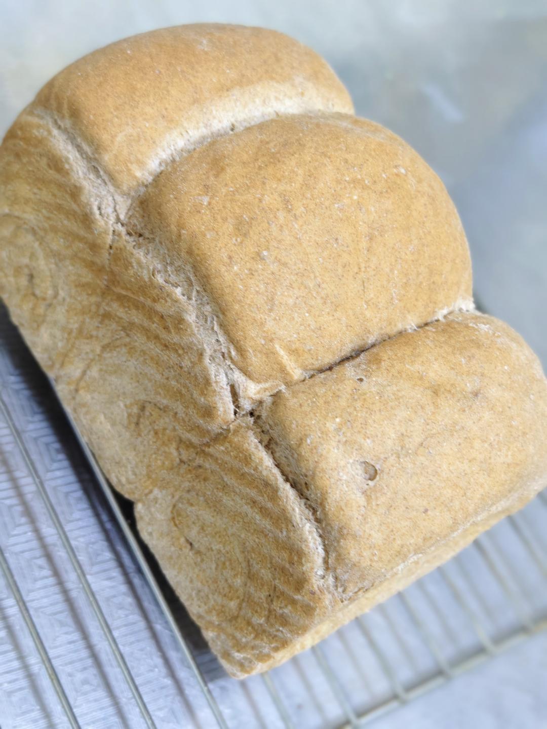 100%全麦吐司（无糖无油）