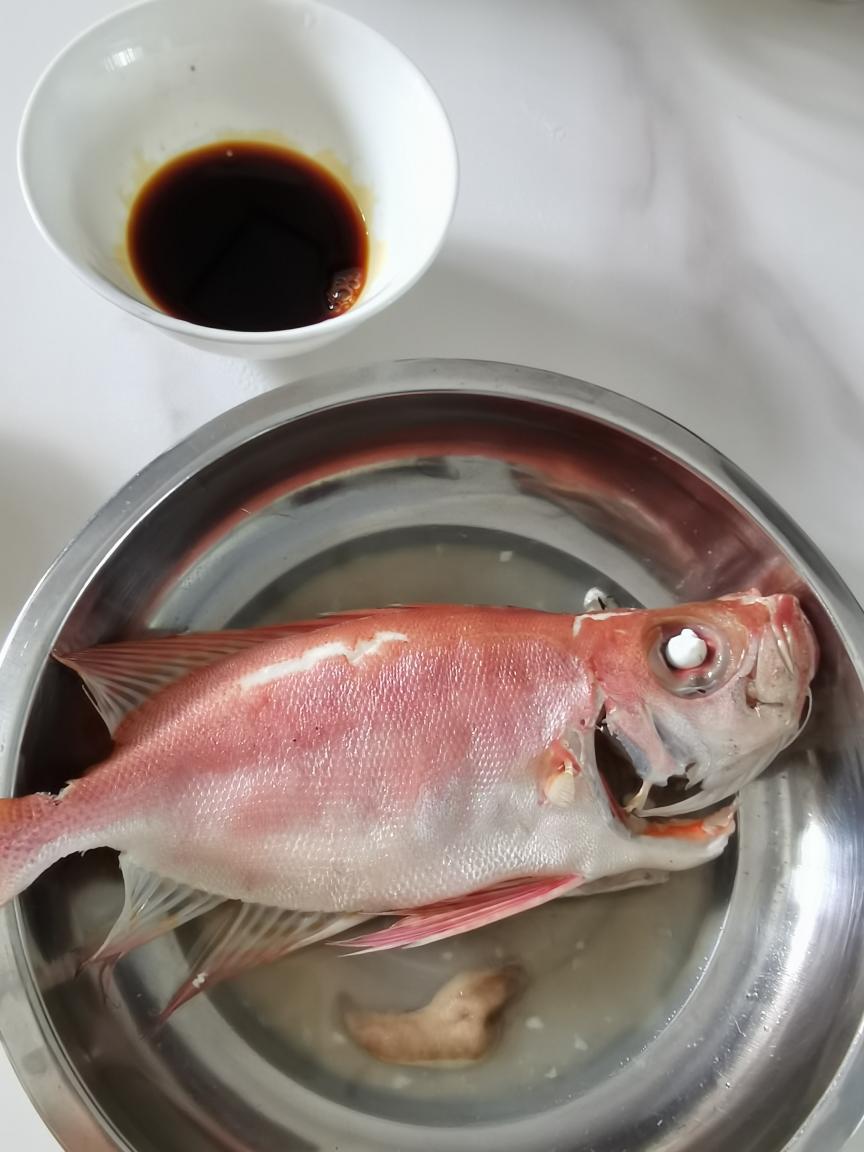 清蒸大眼鸡（红目鳞）