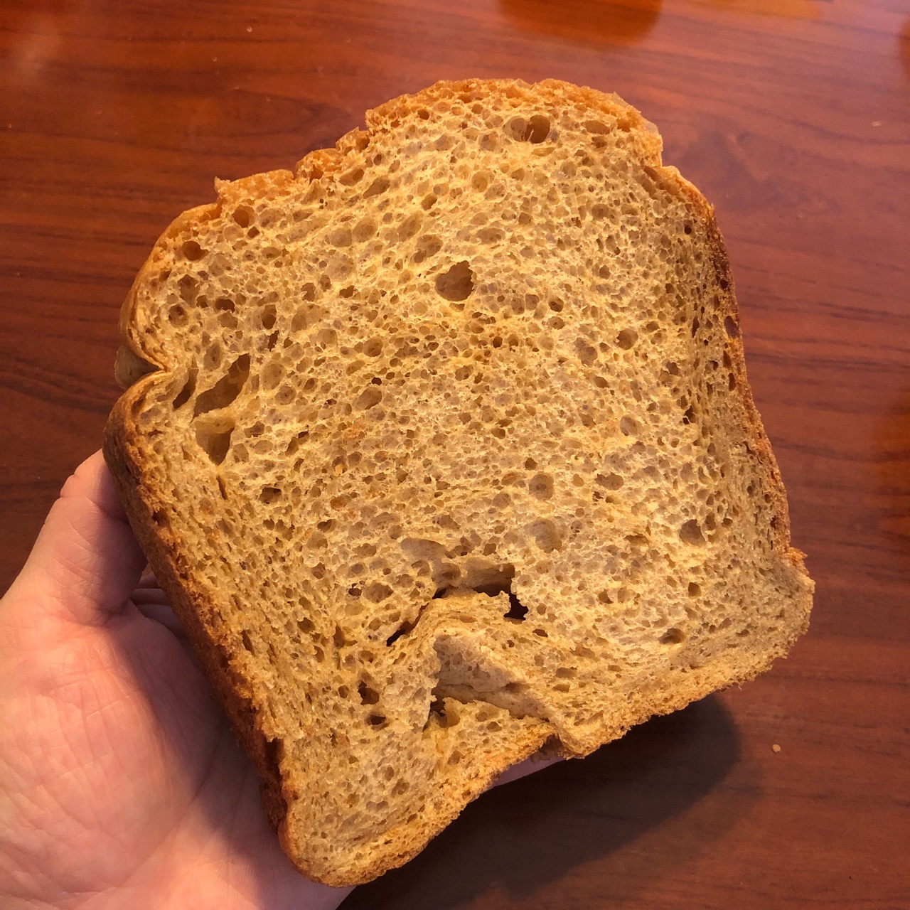 全麦面包（柏翠面包机版）