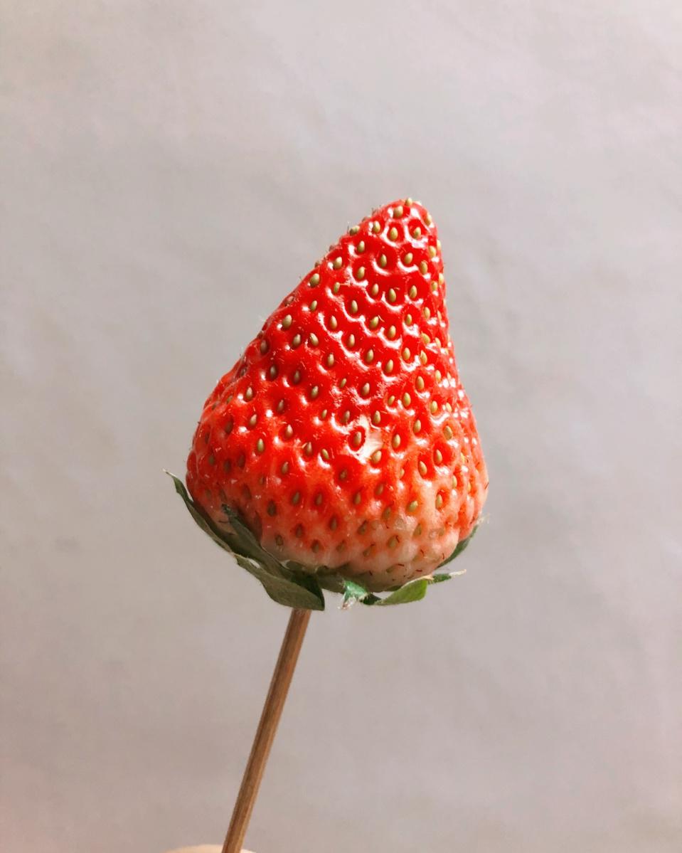 草莓玫瑰花