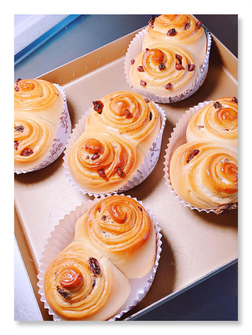 老面版松软肠仔包