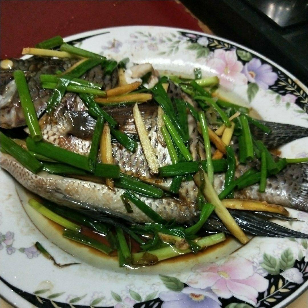清蒸非洲鲫鱼