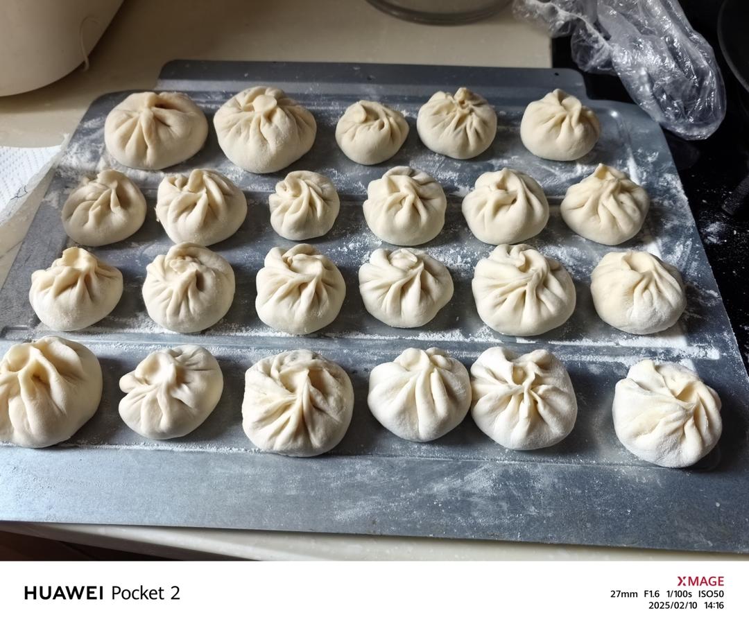 新手教程：详细肉包子教程，零失败，满满tips（发面，和馅，擀皮，包法）