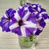 暖暖的点点妈咪