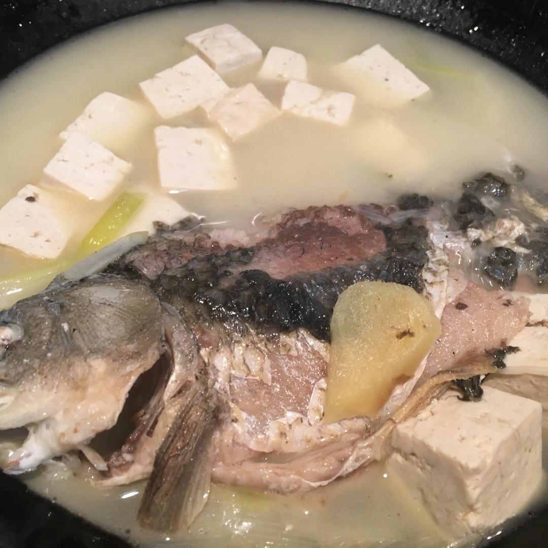 奶白鲫鱼汤