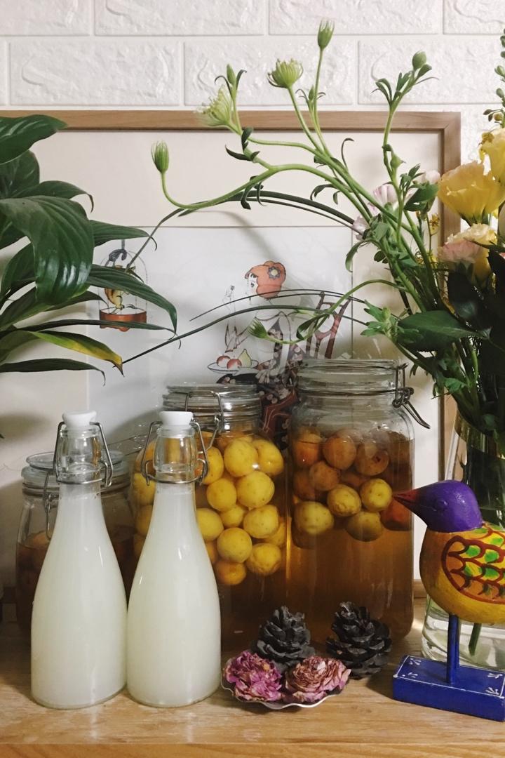 6分钟自制米酒【省事米酒最简易的打开方式】ヽ(•̀ω•́ )ゝ自制酒糟.醪糟.酒酿