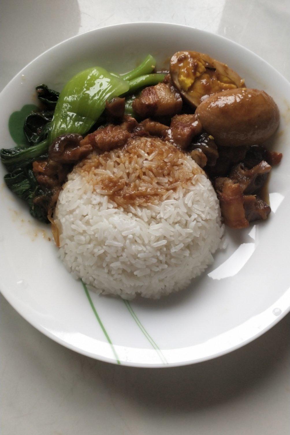 洋葱酥卤肉饭