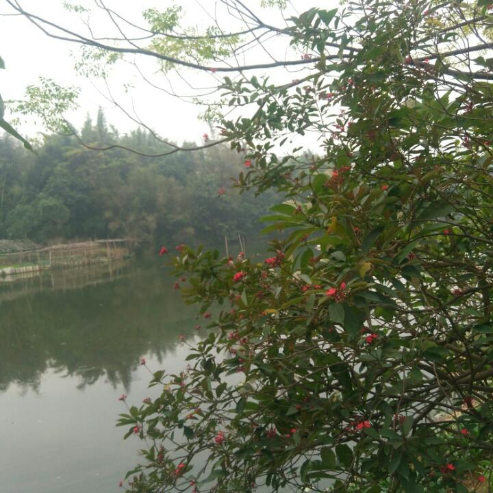 手机用户3757_ysga