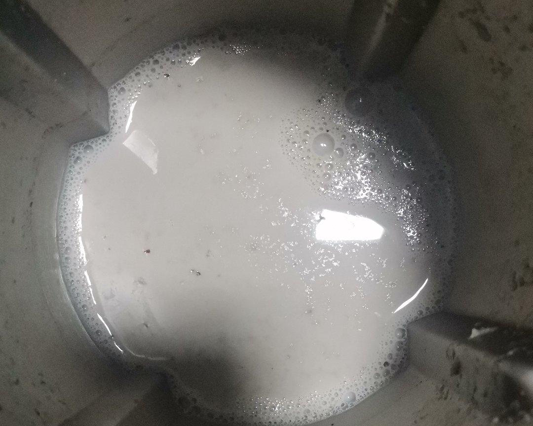 黑豆红枣牛奶豆浆的做法
