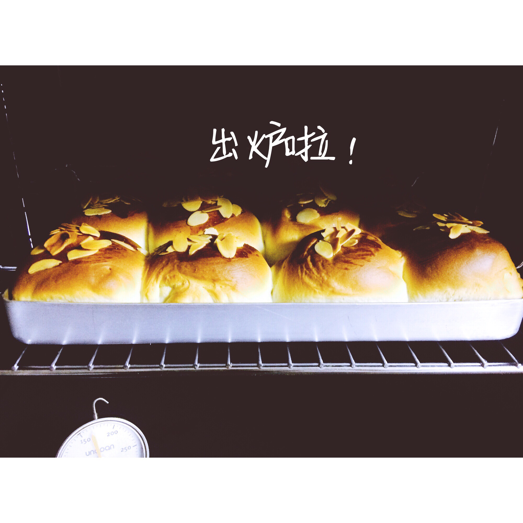 鲜奶油小餐包（一次发酵）