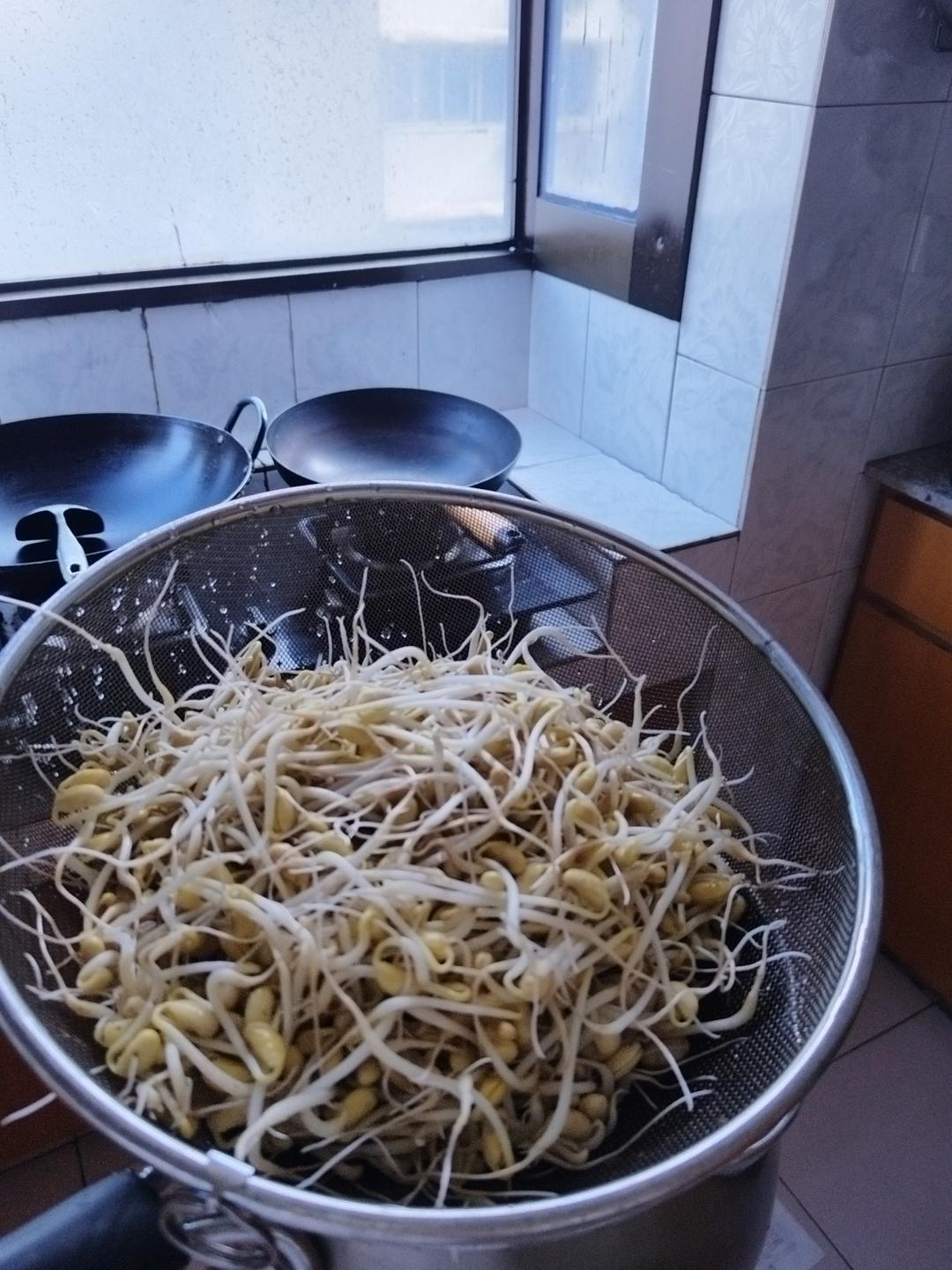 自发黄豆芽（超级简单）