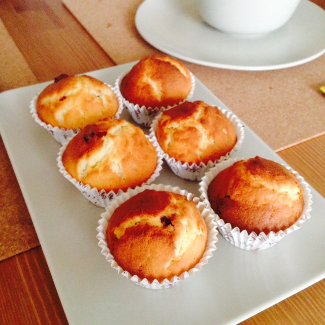 0失败的葡萄干麦芬