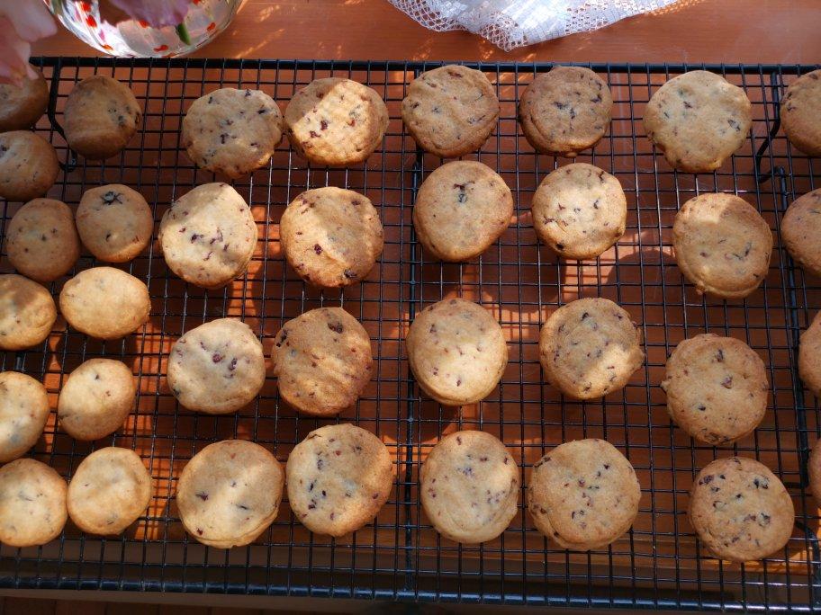 蔓越莓曲奇，挤花曲奇更美丽。