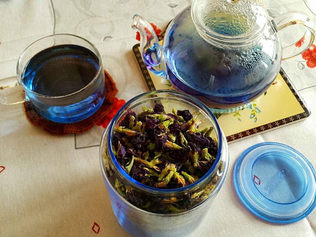 蝶豆花茶 藍蝶花茶 的做法步骤图 Bonjour Ping 下厨房