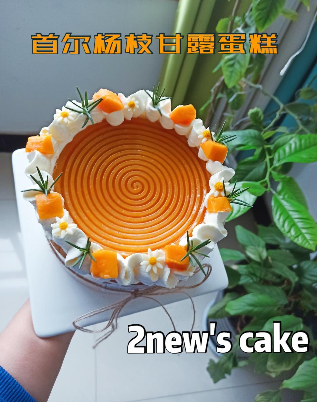 奶油蛋糕装饰鲜花水果裸蛋糕造型（建个菜谱放2new做过的蛋糕)