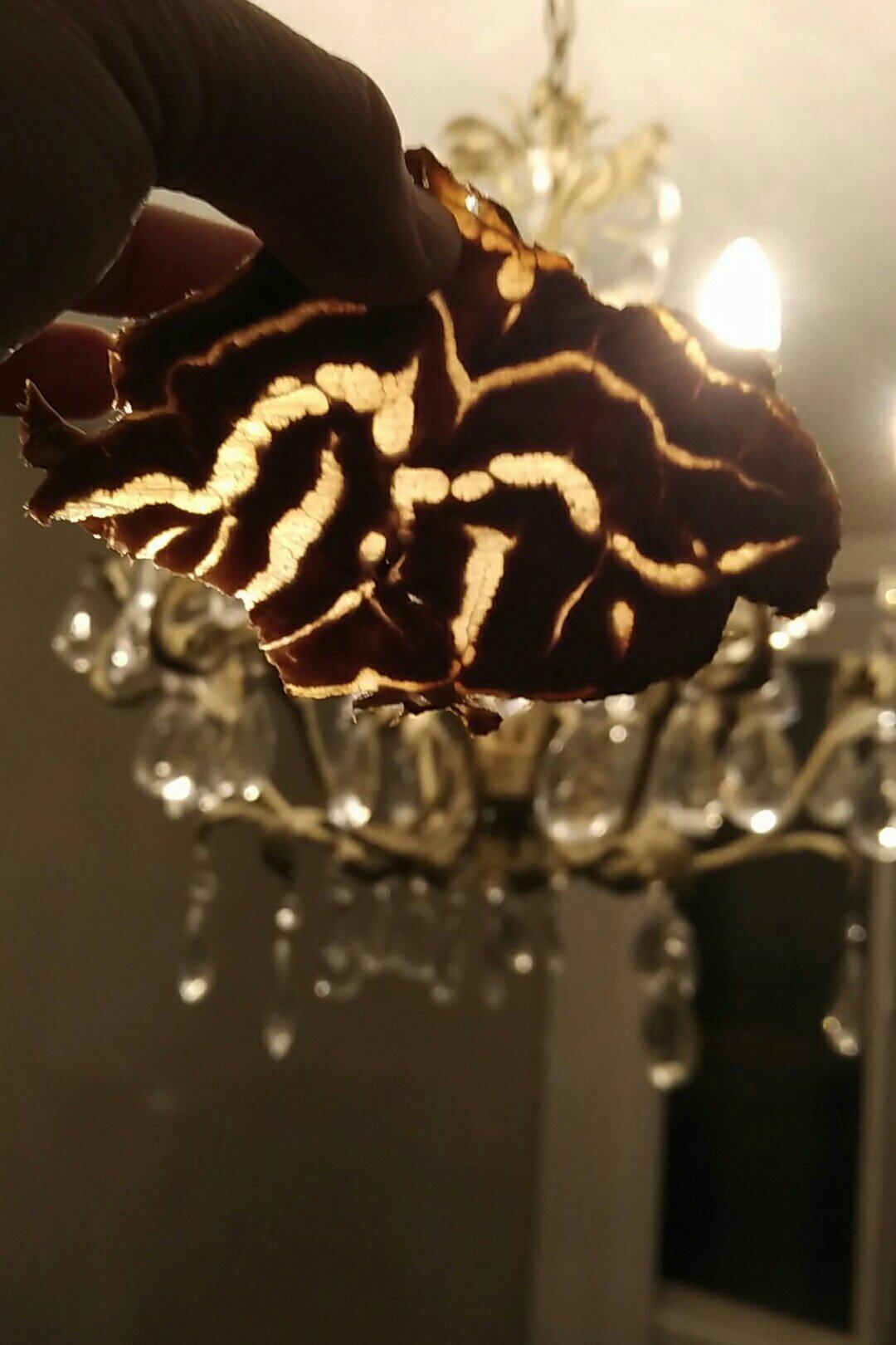 简单、好吃的卤牛腱