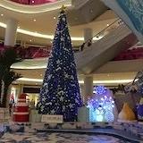 a冰雪