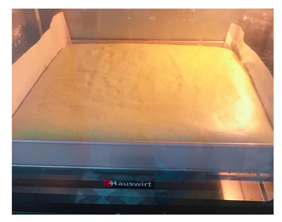 八寸戚风的成长记录